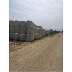 3-Mısır Silajı aylık 10.000 ton tedarik etme yeteneği 1. sınıf - 2. sınıf